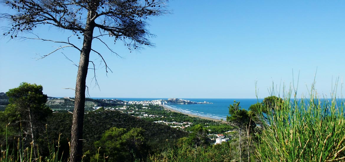 hotel sul mare gargano 3 stelle